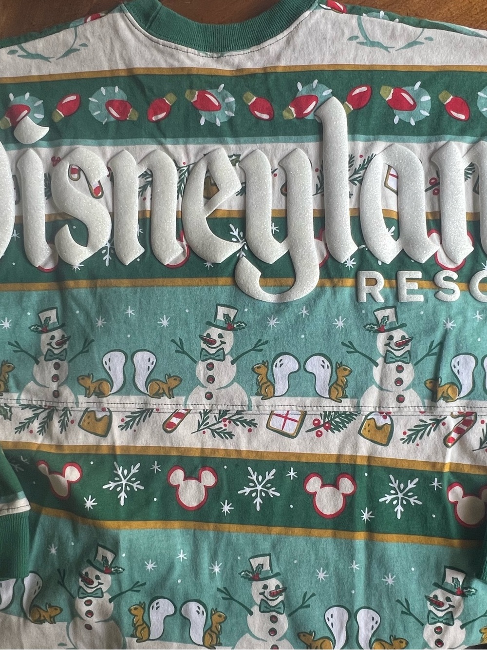 Disneyland long sleeve shirt NWOT - Picture 4 of 5